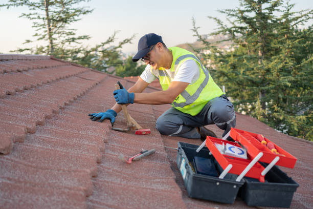 Best Residential Roofing Contractor  in Loyola, CA